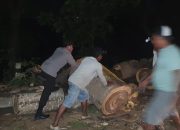 Personel Polsek Asakota Bersama Masyarakat Gotong Royong Bersihkan Jalan dan Pohon Tumbang