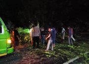Tutup Akses Jalan, Polsek Labuhan Badas Gerak Cepat Lakukan Evakuasi Pohon Tumbang