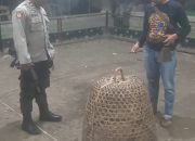 Polres Loteng bubarkan sabung ayam di Kecamatan Prabarda, Para Pelaku Kabur Ke Area Persawahan .